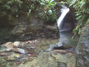 derniere falls dominica