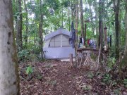 family tent