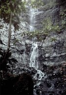 fondmorgan