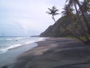 rosalie beach