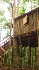 tree house