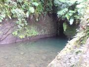 titou gauge dominica