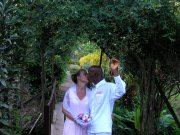 wedding in the garden