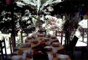 wedding party