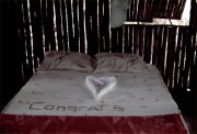 wedding honeymoon night in the treehouse