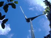 forest hotel accommodation wind turbine in rosalie jungle dominica