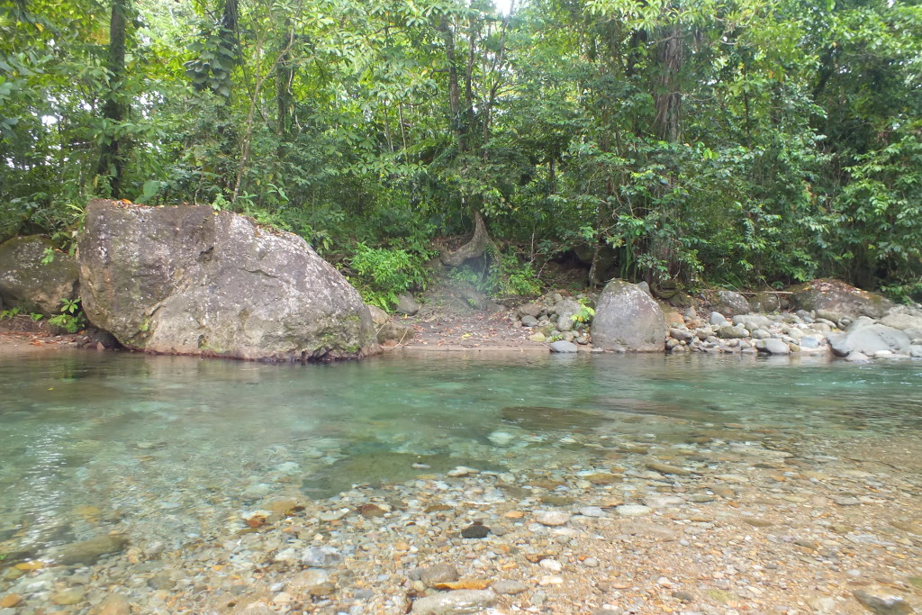 DSCF6139 - 3 Rivers & Rosalie Forest : Dominica's Original, Eco Lodge